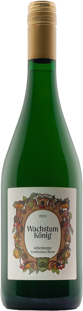 Conference Birne 2023